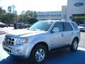 Ingot Silver Metallic 2010 Ford Escape Hybrid Limited