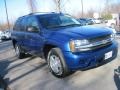 Superior Blue Metallic - TrailBlazer LS Photo No. 3