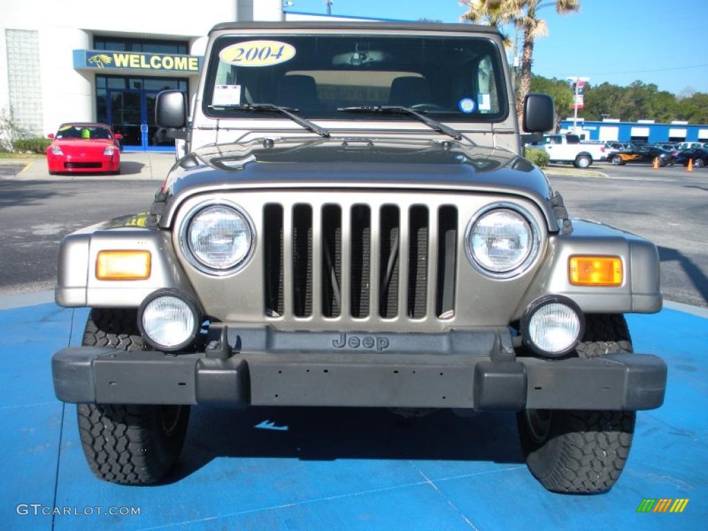 2004 Wrangler Sahara 4x4 - Light Khaki Metallic / Khaki photo #8