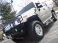 Pewter Metallic - H2 SUV Photo No. 1
