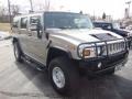 Pewter Metallic - H2 SUV Photo No. 4