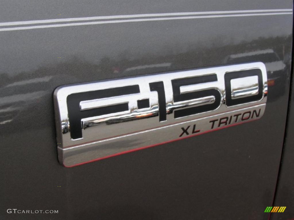 2004 F150 XL Regular Cab - Dark Shadow Grey Metallic / Dark Flint photo #3