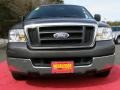 2004 Dark Shadow Grey Metallic Ford F150 XL Regular Cab  photo #5