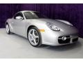 Arctic Silver Metallic - Cayman  Photo No. 1