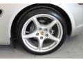 Arctic Silver Metallic - Cayman  Photo No. 8
