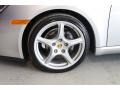Arctic Silver Metallic - Cayman  Photo No. 11