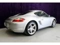 Arctic Silver Metallic - Cayman  Photo No. 39