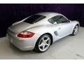 Arctic Silver Metallic - Cayman  Photo No. 40