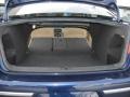 Shadow Blue - Passat 2.0T Sedan Photo No. 34