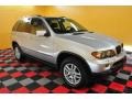 Titanium Silver Metallic - X5 3.0i Photo No. 1