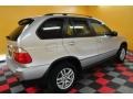 Titanium Silver Metallic - X5 3.0i Photo No. 6