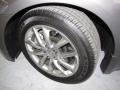 Platinum Graphite - G 37 Sedan Photo No. 19