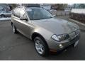 Silver Grey Metallic - X3 3.0si Photo No. 2