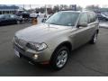 Silver Grey Metallic - X3 3.0si Photo No. 13