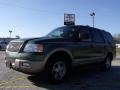 2003 Estate Green Metallic Ford Expedition Eddie Bauer  photo #1