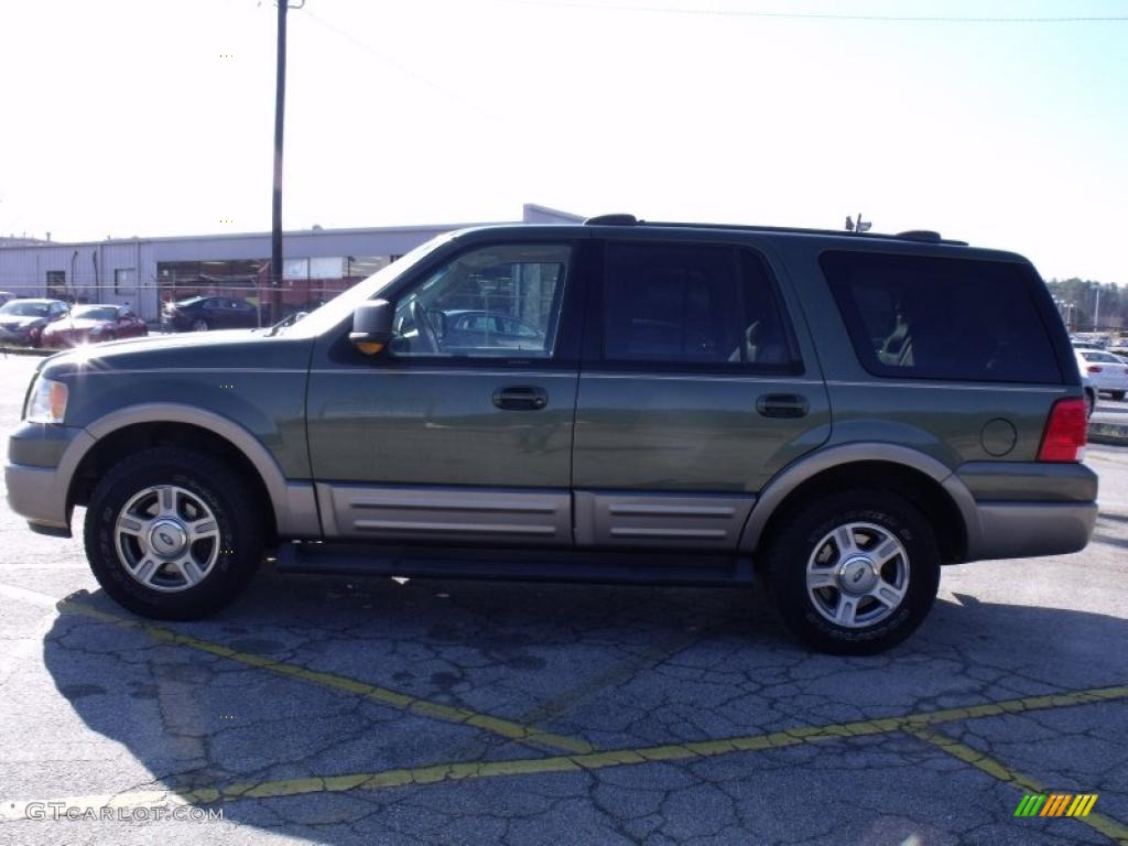 2003 Expedition Eddie Bauer - Estate Green Metallic / Medium Parchment photo #2