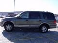 2003 Estate Green Metallic Ford Expedition Eddie Bauer  photo #2