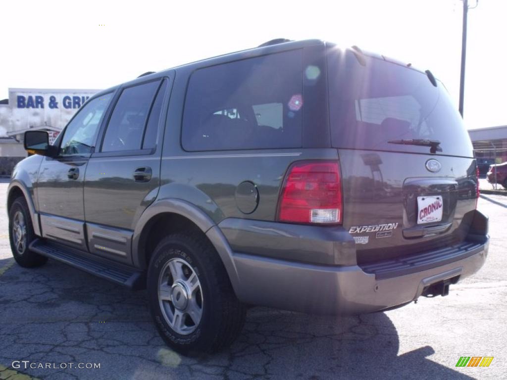 2003 Expedition Eddie Bauer - Estate Green Metallic / Medium Parchment photo #3