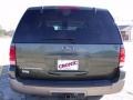 2003 Estate Green Metallic Ford Expedition Eddie Bauer  photo #4