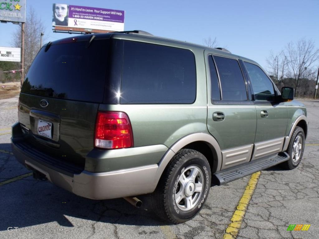 2003 Expedition Eddie Bauer - Estate Green Metallic / Medium Parchment photo #5