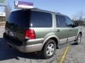 2003 Estate Green Metallic Ford Expedition Eddie Bauer  photo #5