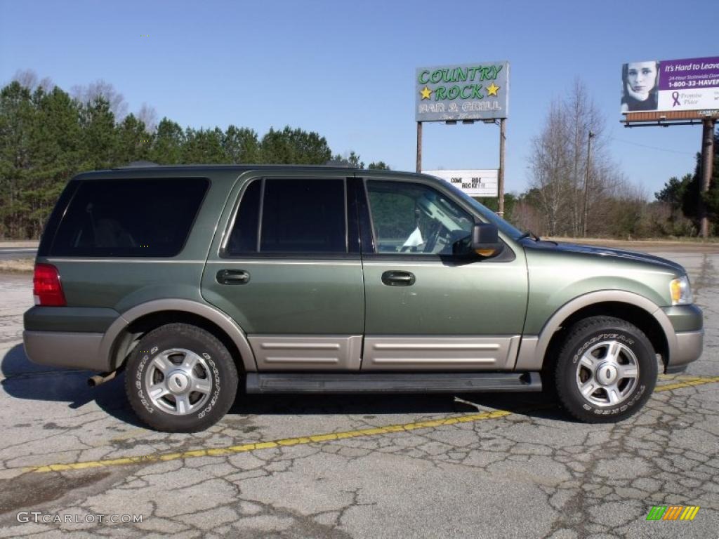 2003 Expedition Eddie Bauer - Estate Green Metallic / Medium Parchment photo #6