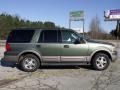 2003 Estate Green Metallic Ford Expedition Eddie Bauer  photo #6