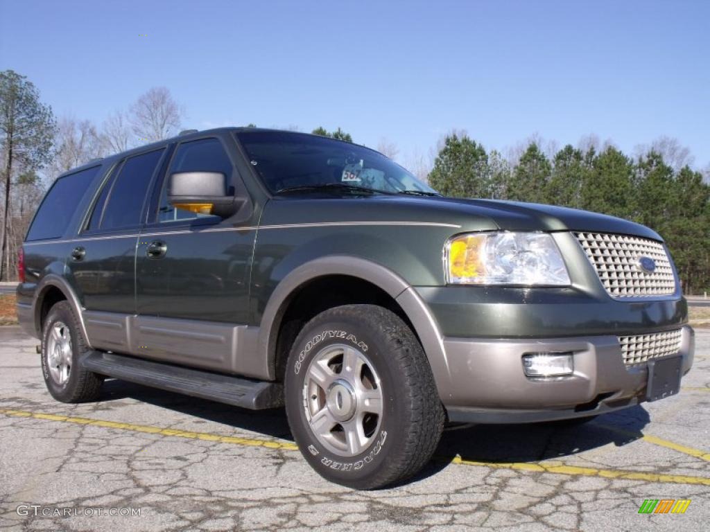 2003 Expedition Eddie Bauer - Estate Green Metallic / Medium Parchment photo #7
