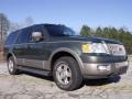 2003 Estate Green Metallic Ford Expedition Eddie Bauer  photo #7