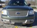 2003 Estate Green Metallic Ford Expedition Eddie Bauer  photo #8