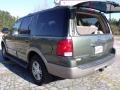 2003 Estate Green Metallic Ford Expedition Eddie Bauer  photo #13