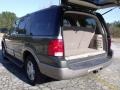 2003 Estate Green Metallic Ford Expedition Eddie Bauer  photo #14