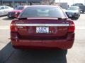 2004 Sport Red Metallic Chevrolet Malibu LT V6 Sedan  photo #5