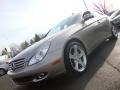 Pewter Metallic - CLS 550 Photo No. 2