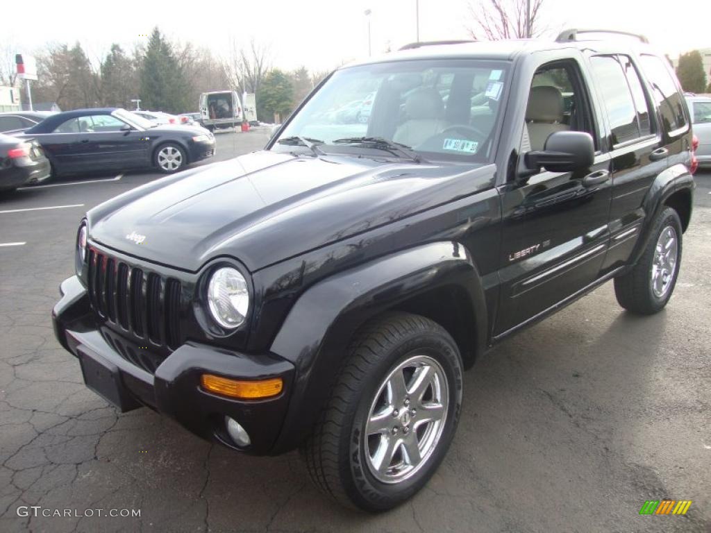 Black Clearcoat Jeep Liberty