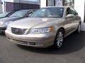 2009 Silk Beige Metallic Hyundai Azera Limited #26595797