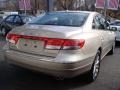 2009 Silk Beige Metallic Hyundai Azera Limited  photo #4