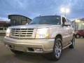 Quicksilver - Escalade AWD Photo No. 2
