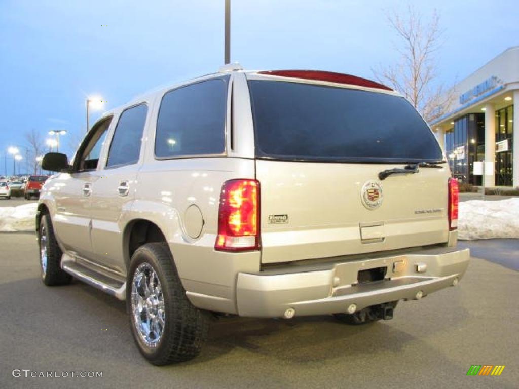 2004 Escalade AWD - Quicksilver / Shale photo #6