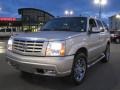 Quicksilver - Escalade AWD Photo No. 10