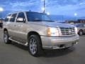 Quicksilver - Escalade AWD Photo No. 11