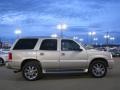 Quicksilver - Escalade AWD Photo No. 12