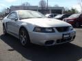 2003 Silver Metallic Ford Mustang Cobra Coupe  photo #3