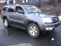 2004 Galactic Gray Mica Toyota 4Runner SR5 4x4  photo #7
