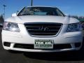 Powder White Pearl - Sonata GLS Photo No. 2