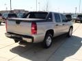 2007 Silver Birch Metallic Chevrolet Avalanche LS  photo #8