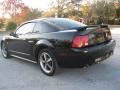 2003 Black Ford Mustang Mach 1 Coupe  photo #11
