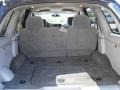 Dark Gray Metallic - TrailBlazer LS Photo No. 9