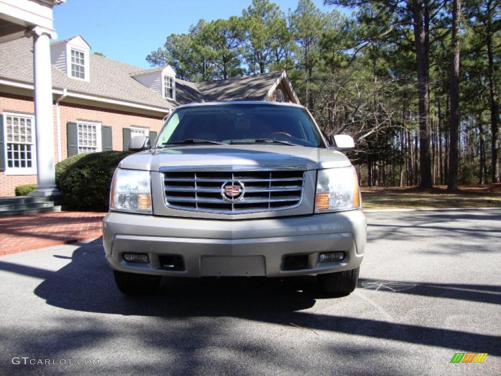 2004 Escalade ESV AWD Platinum Edition - Quicksilver / Shale photo #4