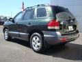 2006 Dark Emerald Green Hyundai Santa Fe GLS  photo #4